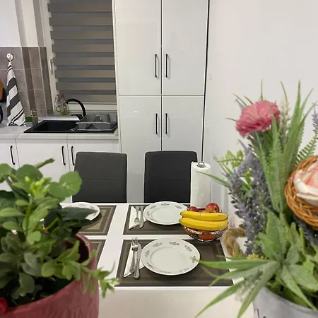 Apartment Muresului *